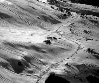 traces isabelle schmitt redim